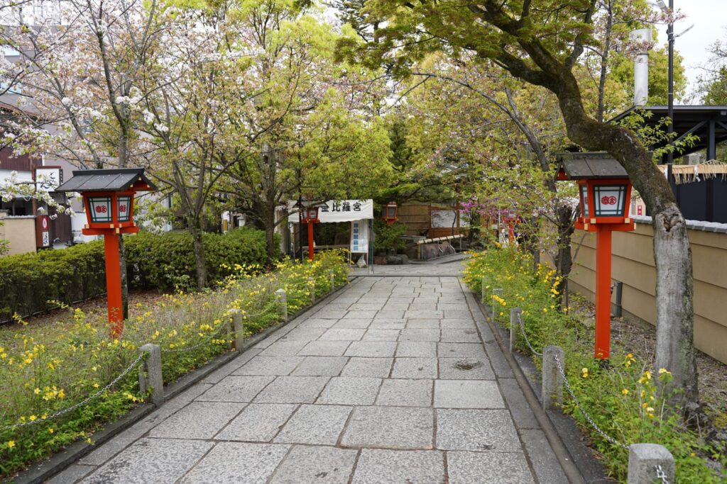京都の魅力と歴史を感じる旅