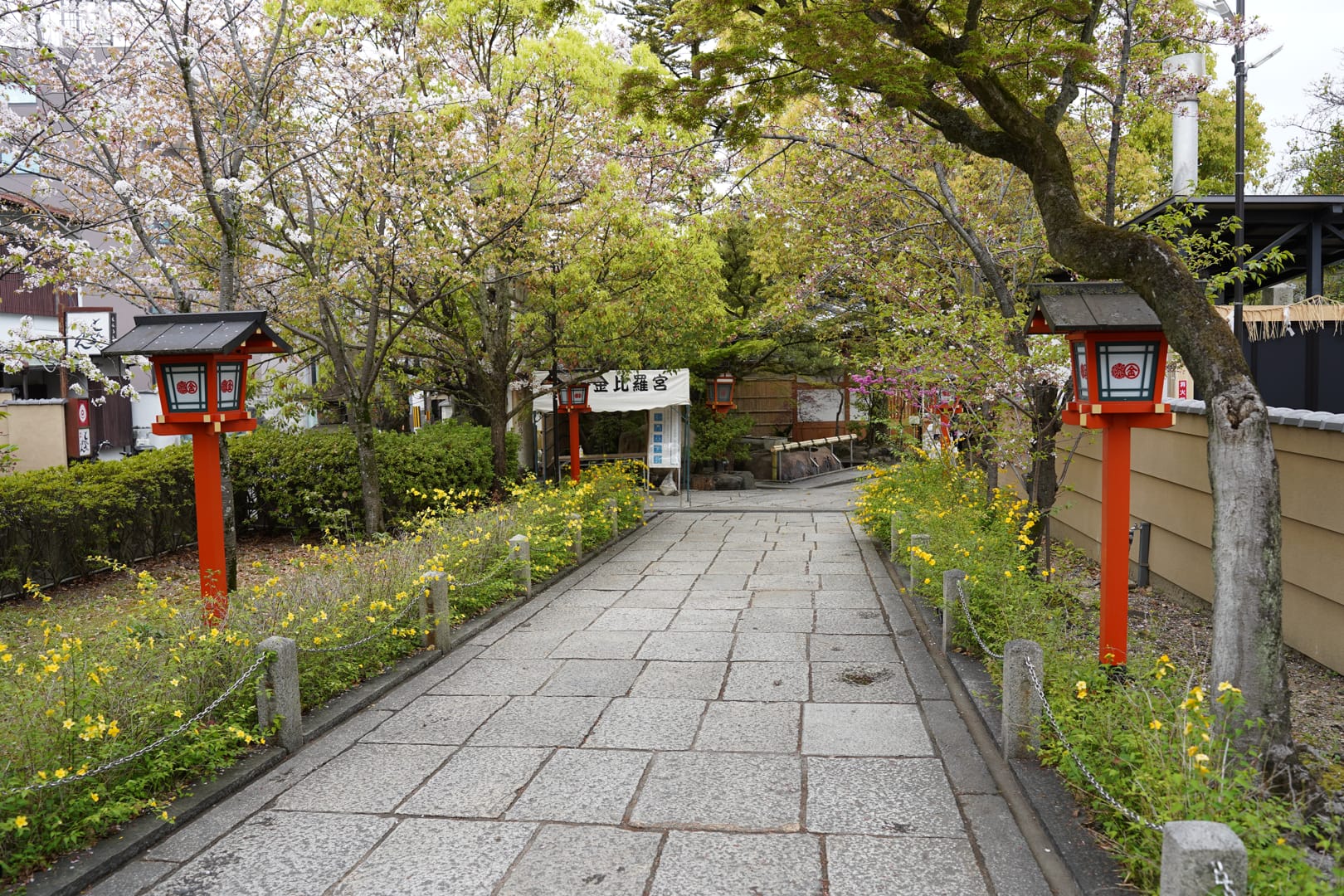 京都の魅力と歴史を感じる旅
