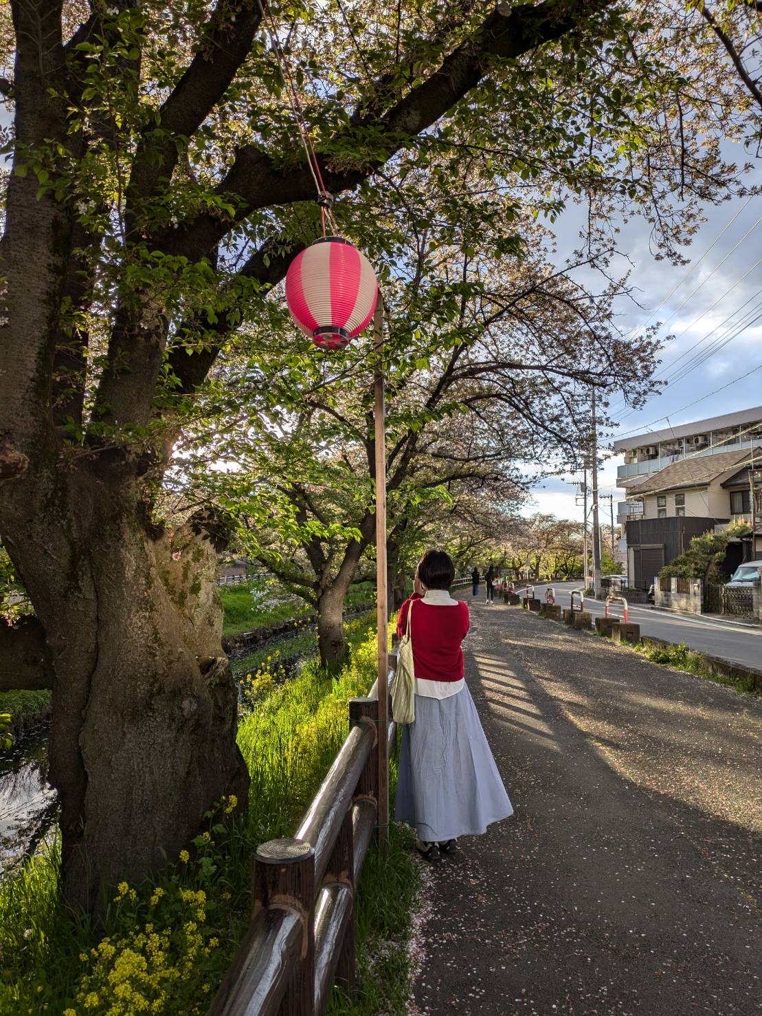 ［学生の作文］春のみち